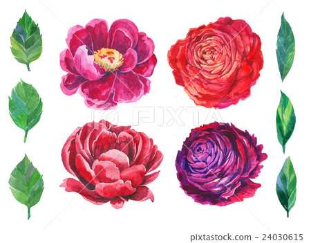 Watercolor Floral SET Watercolor Floral SET 24030615