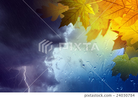 Fall, autumn background 24030784