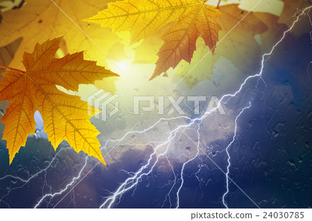 Fall, autumn background 24030785
