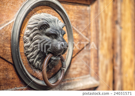 the lion's head door knocker on the wooden door the lion's head door knocker on the wooden door 24031571