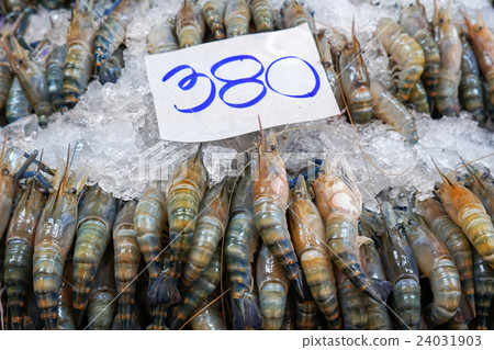 river prawn in the market 24031903