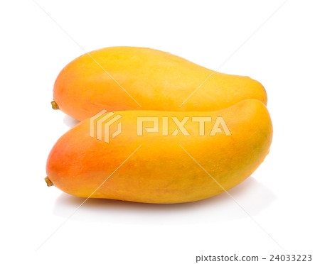 Fresh mango isolated on white background 24033223