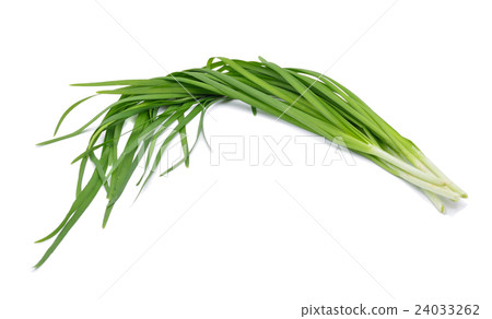 Garlic chives isolated on white background 24033262