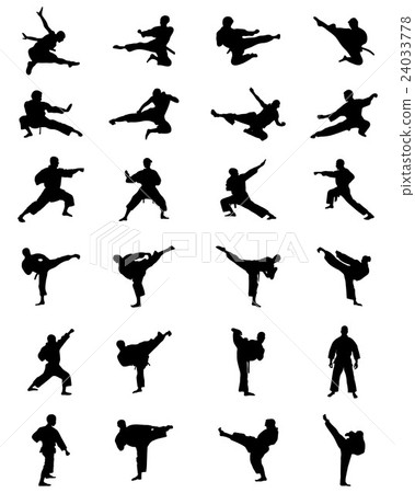 silhouettes of karate 24033778