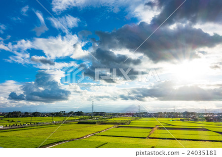 [Sa玉縣]鄉村景觀和夏日的天空 24035181