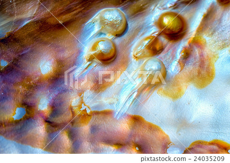 Iridescent nacre mother-of-pearl 24035209