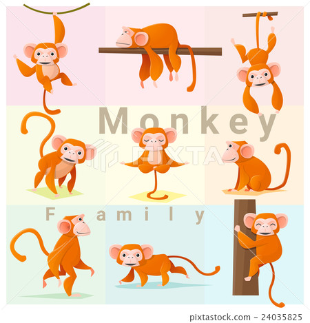 Set of Monkey family Set of Monkey family 24035825