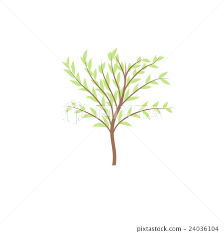 The thin trunk of the tree with leaves vector logo 24036104