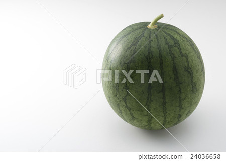 西瓜 西瓜 24036658