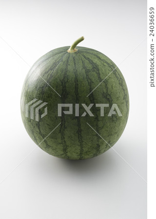 西瓜 西瓜 24036659