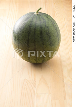 小西瓜 小西瓜 24036660
