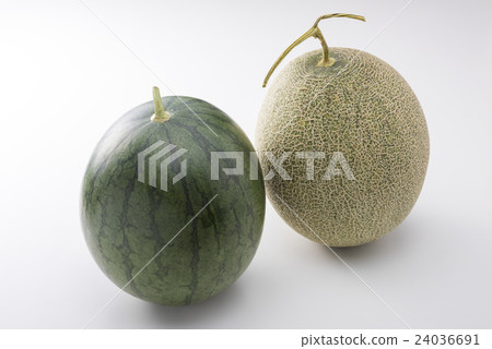 Watermelon and melon 24036691