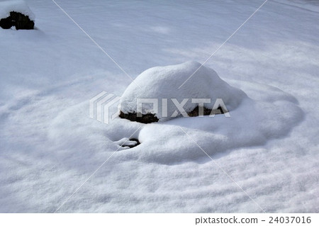 雪殺了 雪殺了 24037016