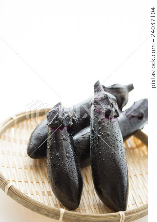 Fresh eggplant Fresh eggplant 24037104
