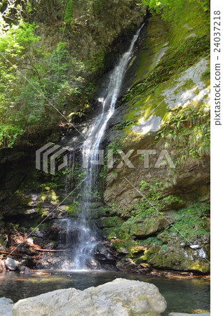 Biwa Falls Tokushima Tourism Biwa Falls Tokushima Tourism 24037218