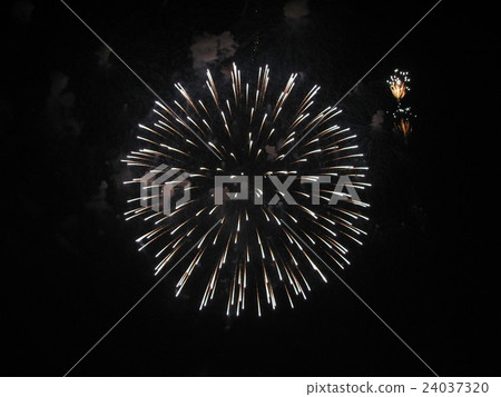 PL fireworks art name flower PL fireworks art name flower 24037320