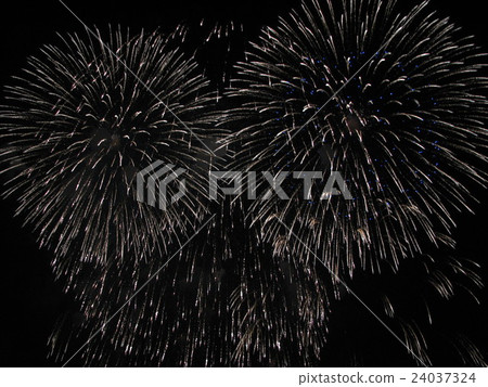 PL fireworks art name flower 24037324