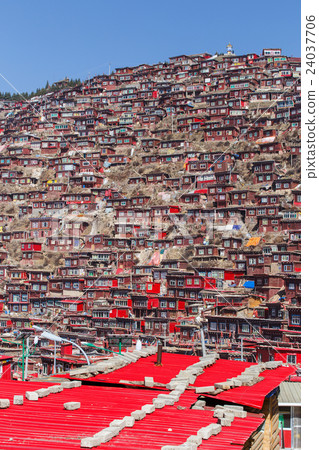 Red monastery at Larung gar (Buddhist Academy) 24037706