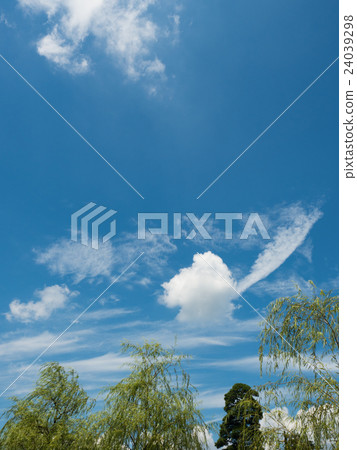夏日的天空 夏日的天空 24039298