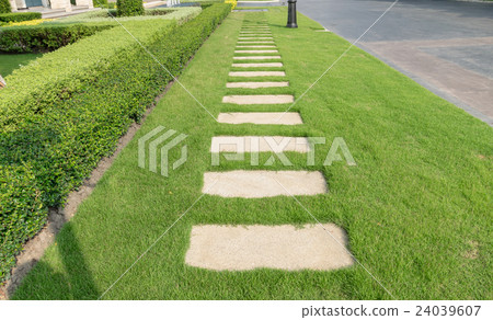 stone walkway on green grass in the garden 24039607