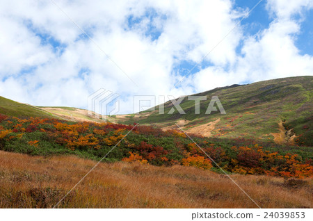 Tsukiyama of autumn leaves Tsukiyama of autumn leaves 24039853