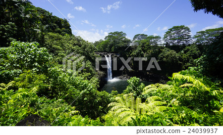 Rainbow Falls, Island of Hawaii Rainbow Falls, Island of Hawaii 24039937