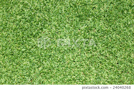 Golf Courses green lawn Golf Courses green lawn 24040268