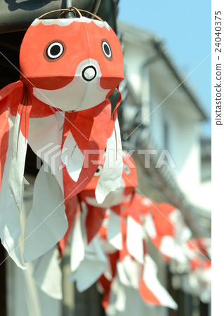 Yanai's goldfish lantern 24040375