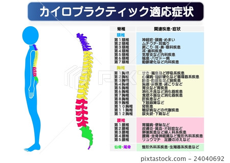 Chiropractic adaptation diagram 24040692
