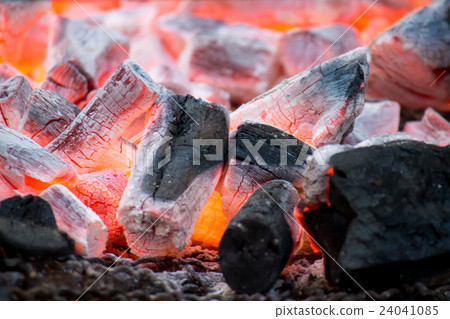 burning wood 24041085