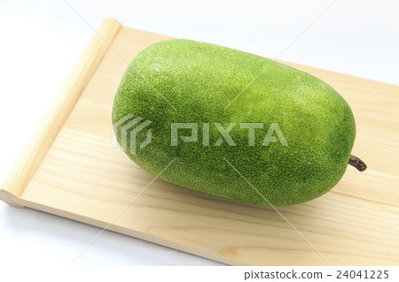 蔬菜冬瓜 24041225