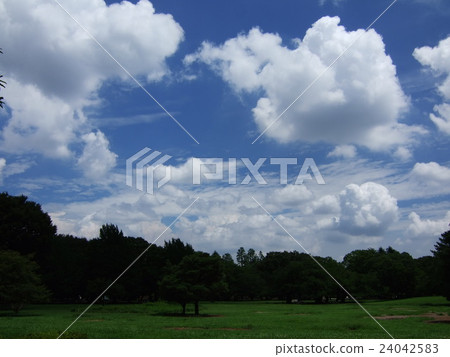 A white cloud floating softly on the park A white cloud floating softly on the park 24042583