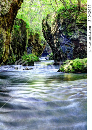 Tarumae Gallo 24042635