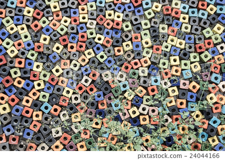 plant on colorful ceramic wall 24044166