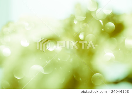 green bokeh for background 24044168