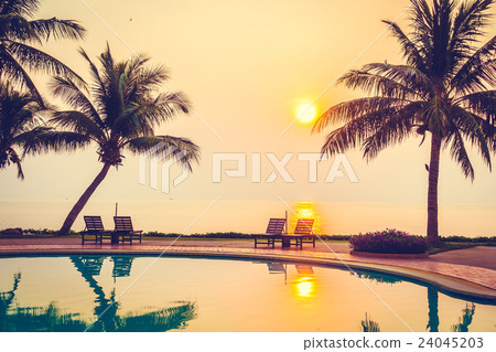 Silhouette coconut palm tree with swimming pool 24045203