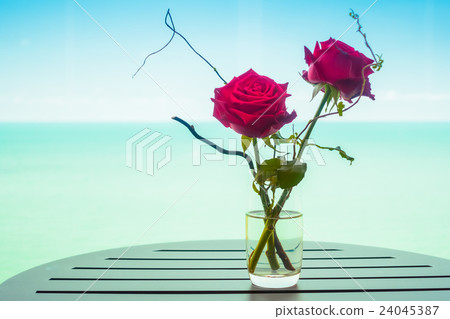 Rose flower in vase Rose flower in vase 24045387