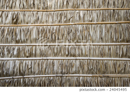 Wall made of Nipa Palm leaves, texture, background - Stock Photo [24045495]  - PIXTA