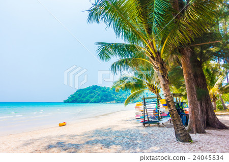 Sea and beach Sea and beach 24045834