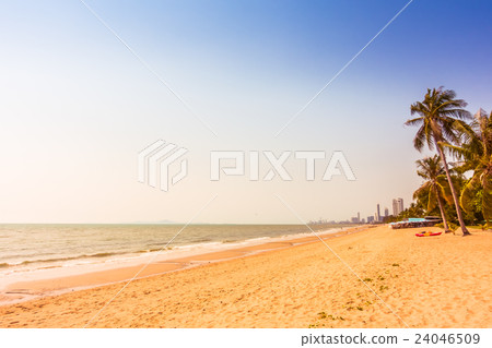 Palm tree on the beach Palm tree on the beach 24046509