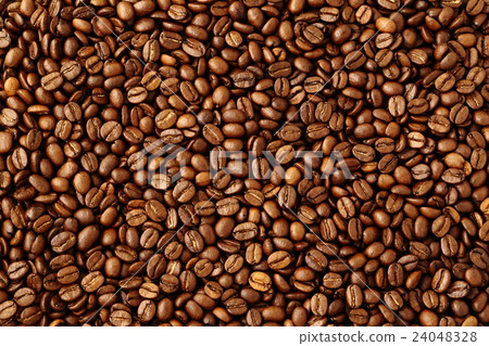 Coffee beans  24048328
