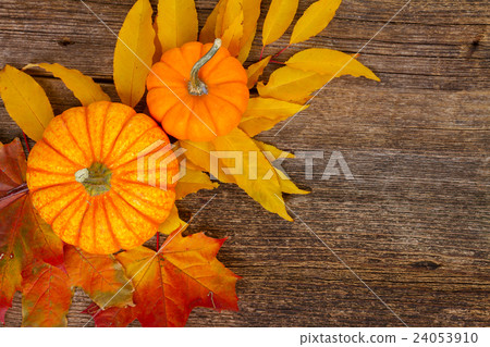 pumpkin on table pumpkin on table 24053910