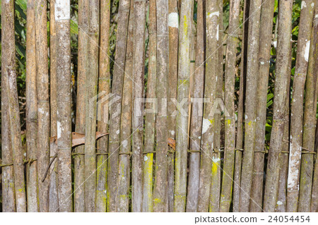 fences bamboo background fences bamboo background 24054454