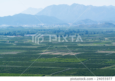aerial view of beautiful Neretva valley in 24055977
