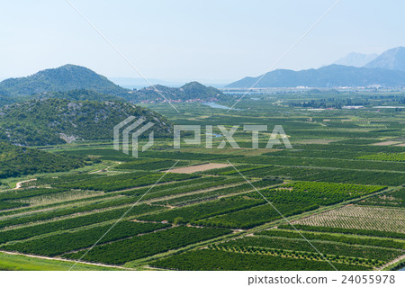 aerial view of beautiful Neretva valley in aerial view of beautiful Neretva valley in 24055978