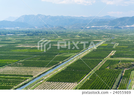 aerial view of beautiful Neretva valley in 24055989