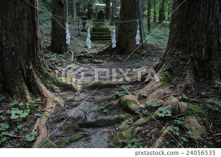 Couples couple of Iga Ryo Shrine 24056535