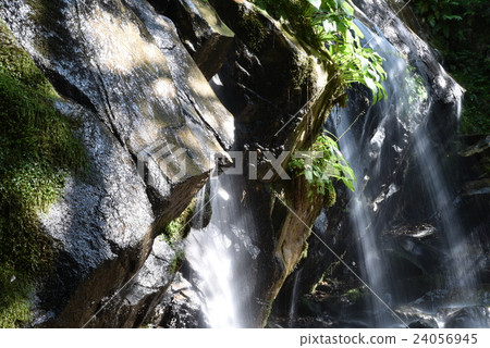 [Japan's Top 100 Waterfalls] Close-up of Kanabiki Falls, Miyazu City, Kyoto Prefecture 24056945