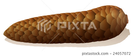 Constipation Symbol Spruce Cone 24057072