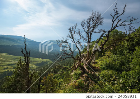 Scenic mountain landscape Scenic mountain landscape 24058931